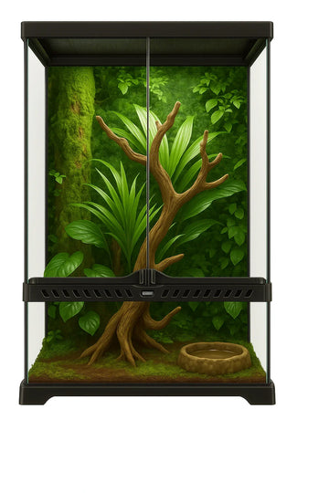 Deluxe Reptile Terrarium 30cm x 30cm x 45cm - Amazing Amazon